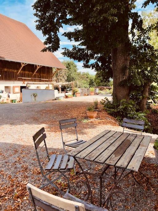 Zauberhafte Ferienscheune Im Hofgut Alte Oelmuehle Engen Exterior photo